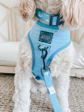 INFLUENCER_CONTENT | @GEORGIA.THE.COCKAPOO | SIZE M