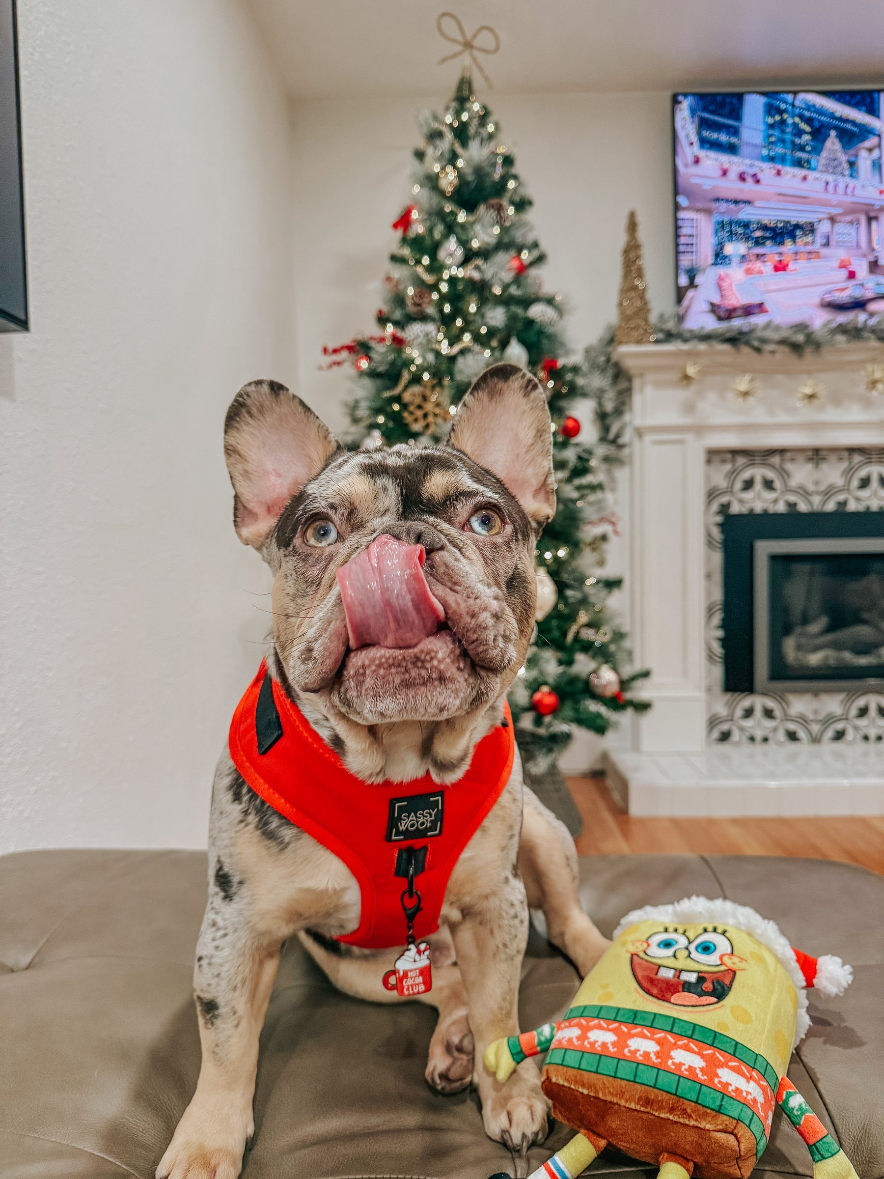 INFLUENCER_CONTENT | @GHOST.THE.MERLE | SIZE S