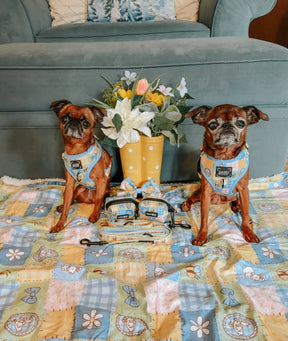 INFLUENCER_CONTENT | @gizmo_and_peyton| SIZE XXS & XS