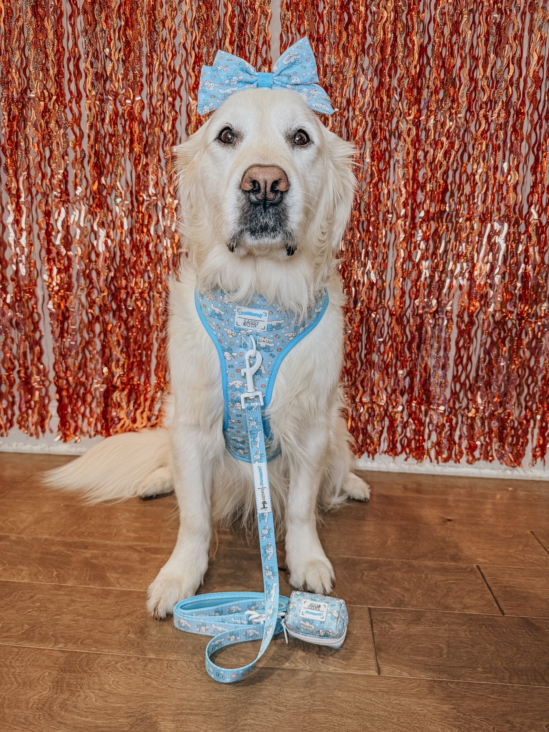 A golden retriever wearing the Sassy Woof Dog Sailor Bow - Cinnamoroll™ sits on a wooden floor in front of a red and orange shimmering backdrop.