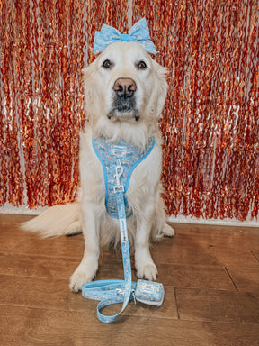A golden retriever wearing a Sassy Woof Dog Leash - Cinnamoroll™ with a padded handle and matching bow sits on a wooden floor in front of a shimmering red and orange tinsel backdrop.