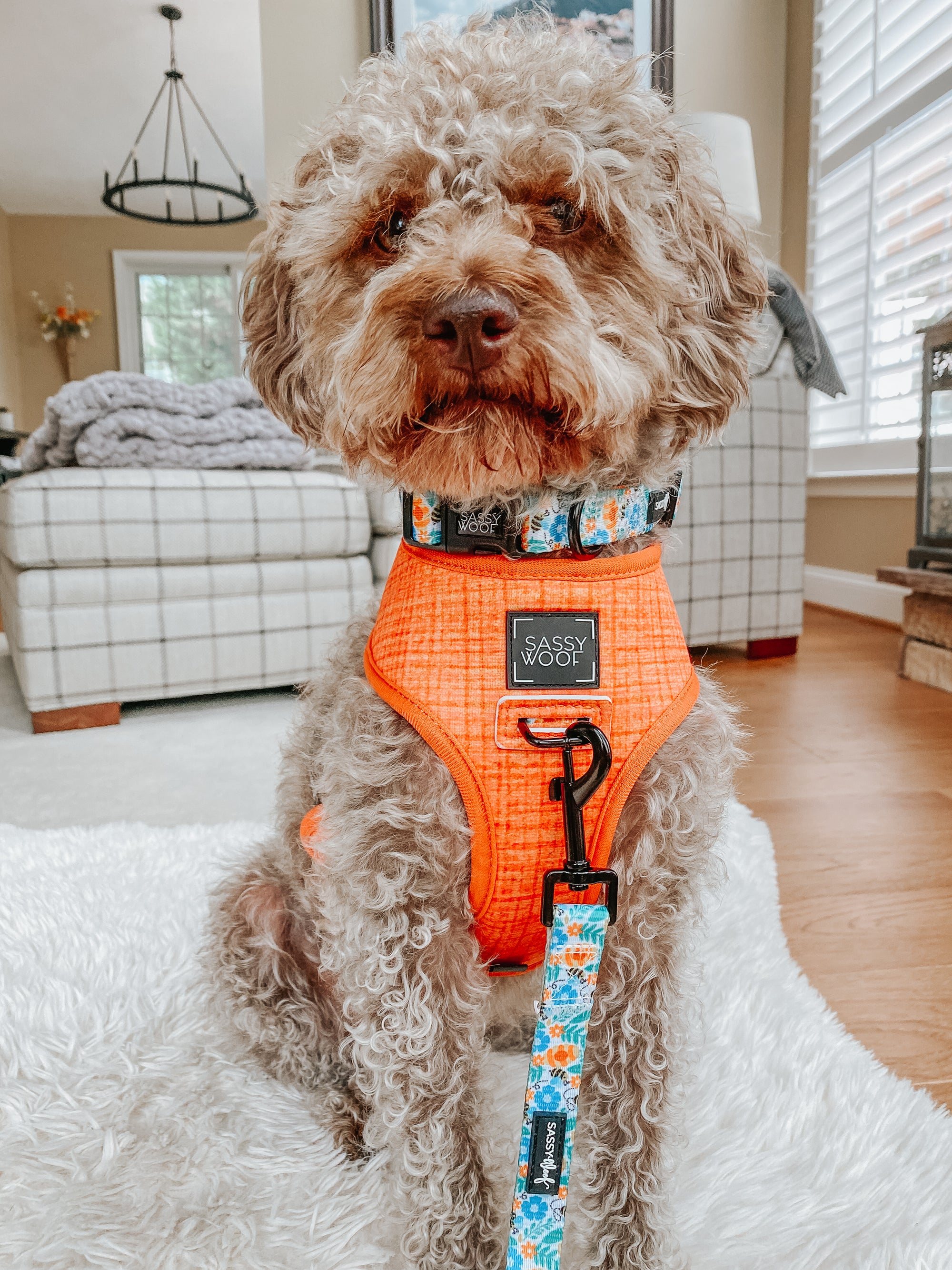 INFLUENCER_CONTENT | @HARPERTHECHOCOLATEDOODLE | SIZE M
