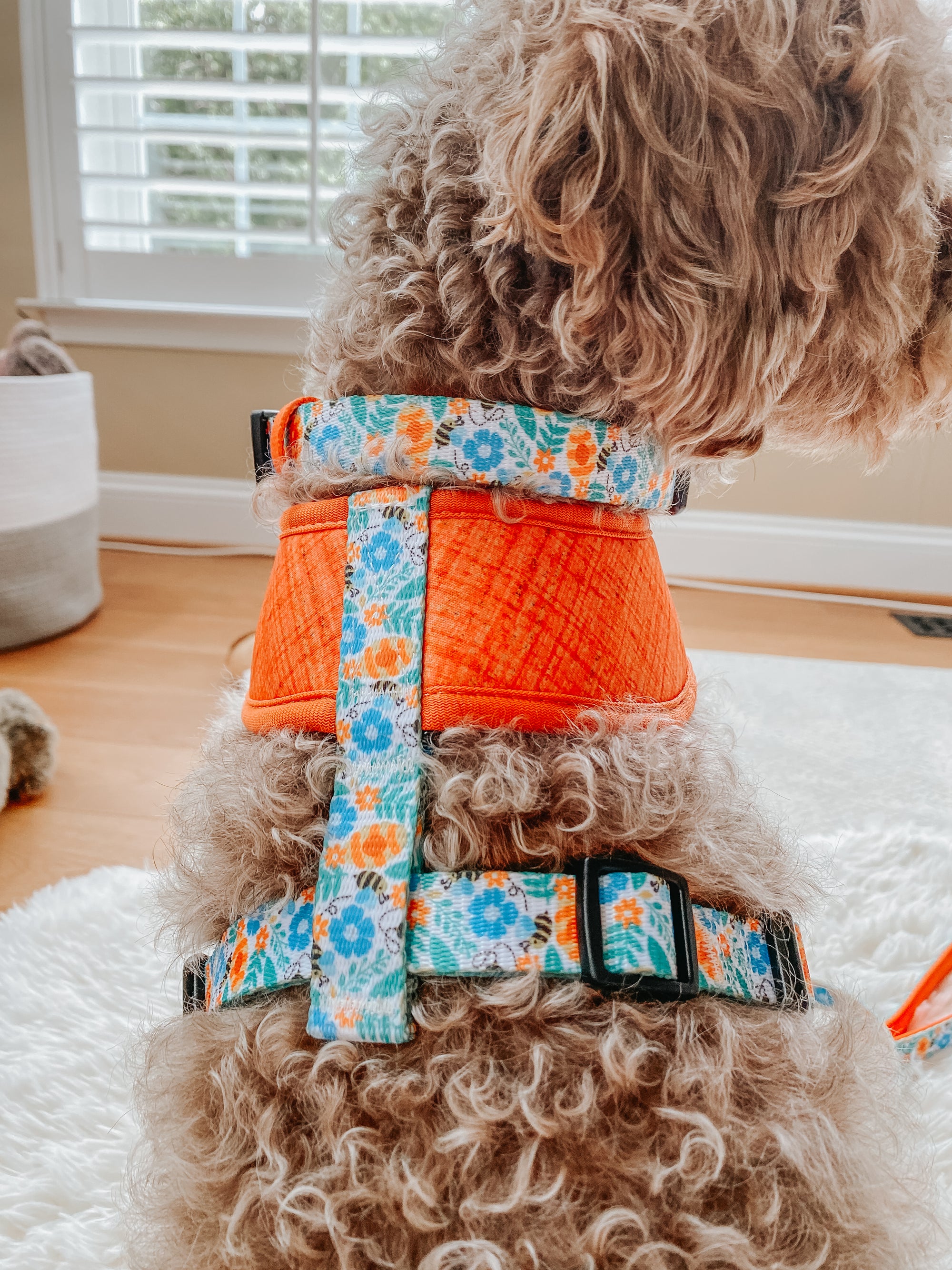 INFLUENCER_CONTENT | @HARPERTHECHOCOLATEDOODLE | SIZE M