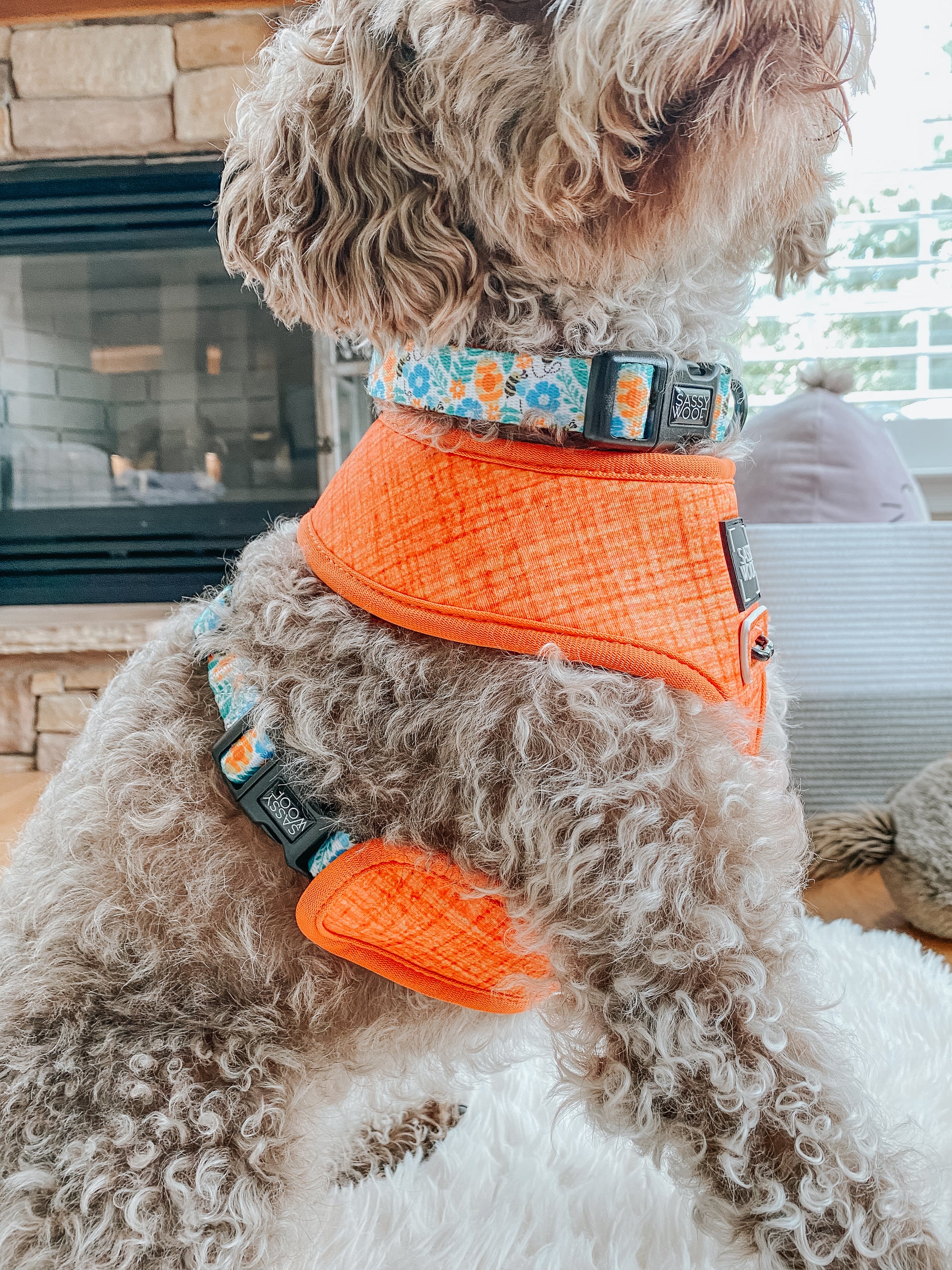 INFLUENCER_CONTENT | @HARPERTHECHOCOLATEDOODLE | SIZE M