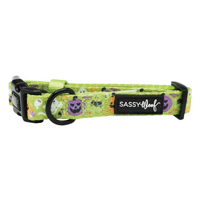 Dog Collar - Haunt Mess