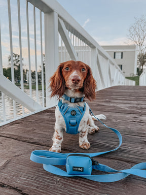 INFLUENCER_CONTENT | @HAUSOFODOXIES | SIZE S & XS