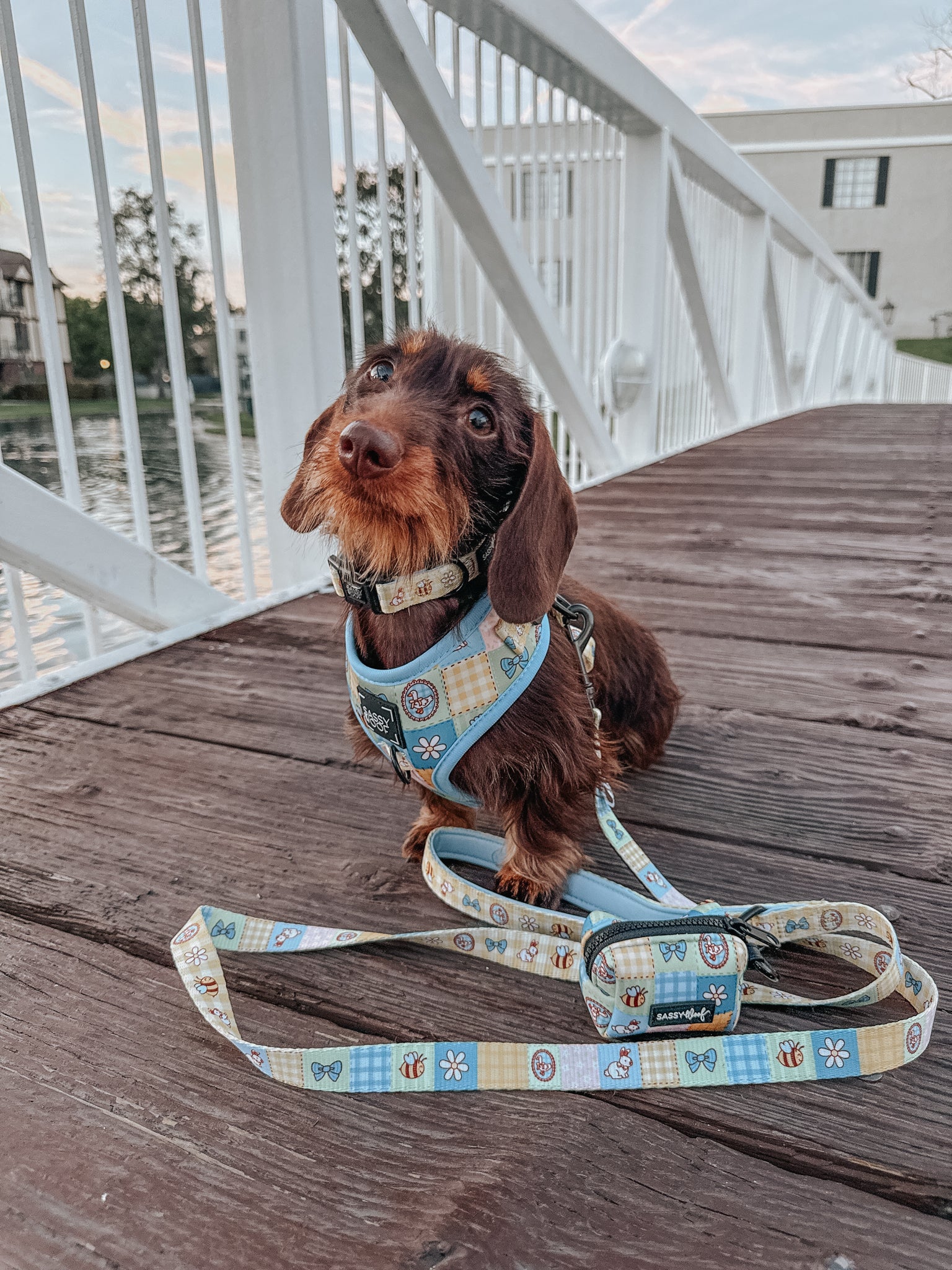 INFLUENCER_CONTENT | @HAUSOFODOXIES| SIZE S & XS