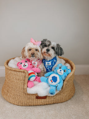 INFLUENCER_CONTENT | @HAVANESEMORNING | SIZE XS