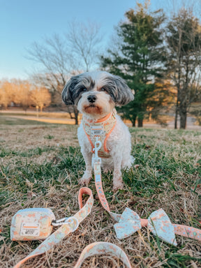 INFLUENCER_CONTENT | @HAVANESEMORNING | SIZE XS