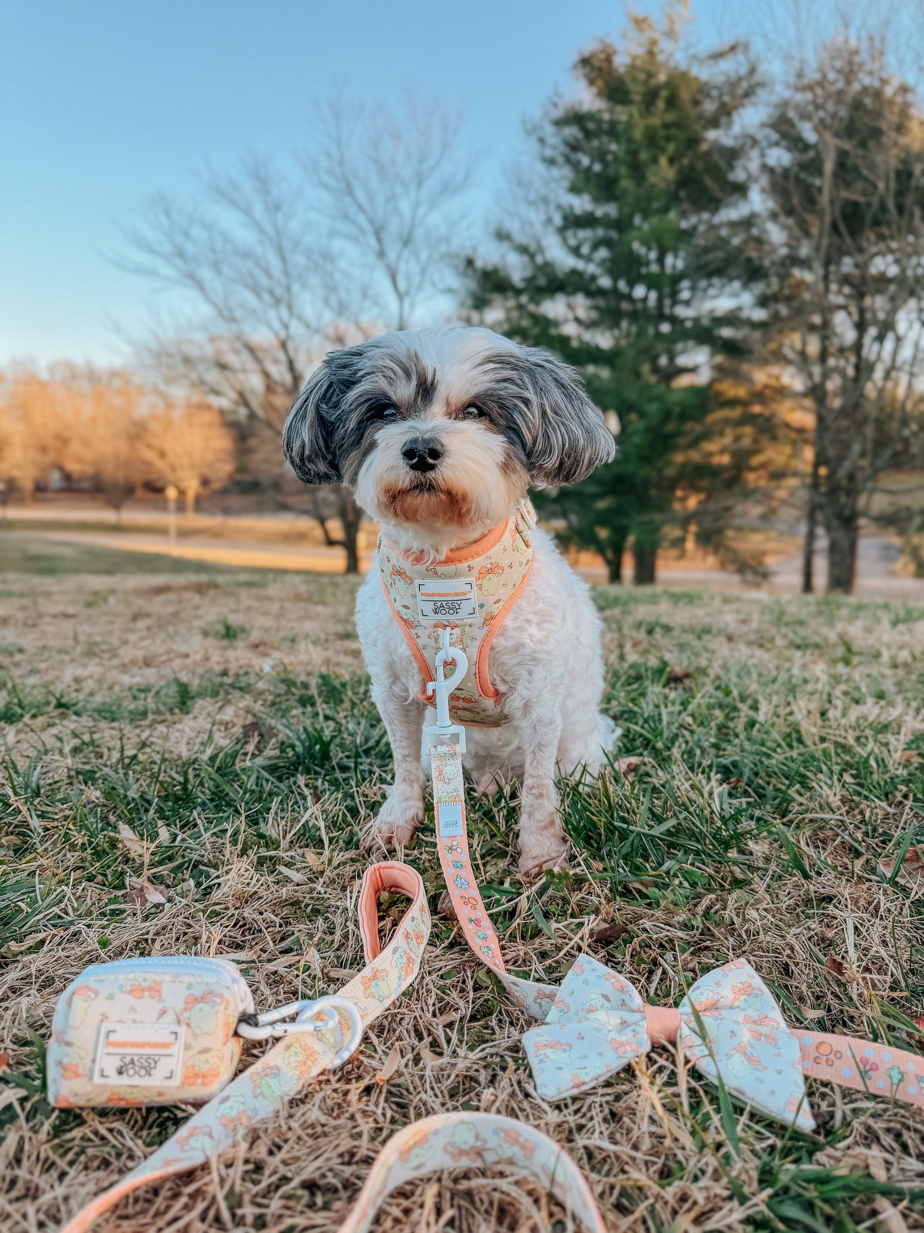 INFLUENCER_CONTENT | @HAVAENESEMORNING 