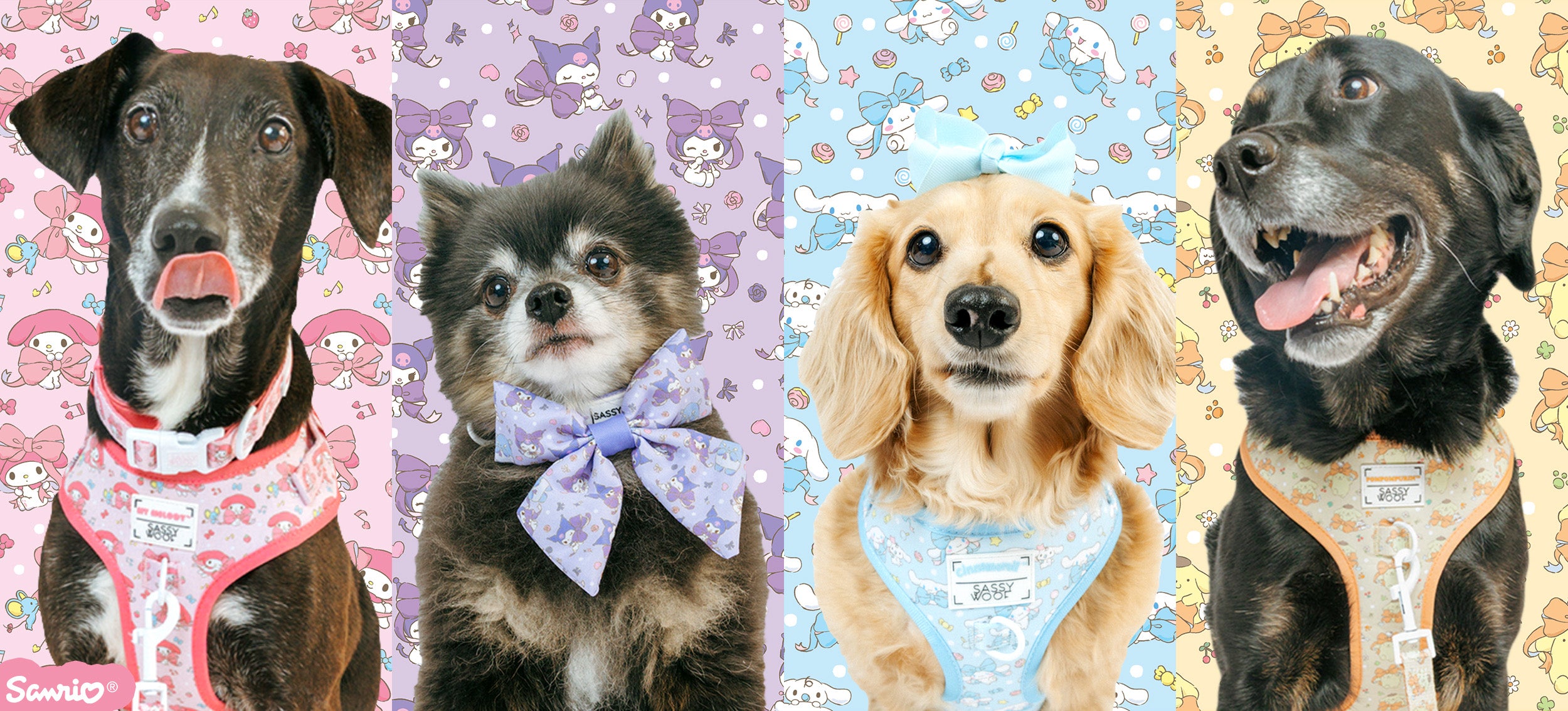 Four dogs wearing colorful harnesses on a patterned background