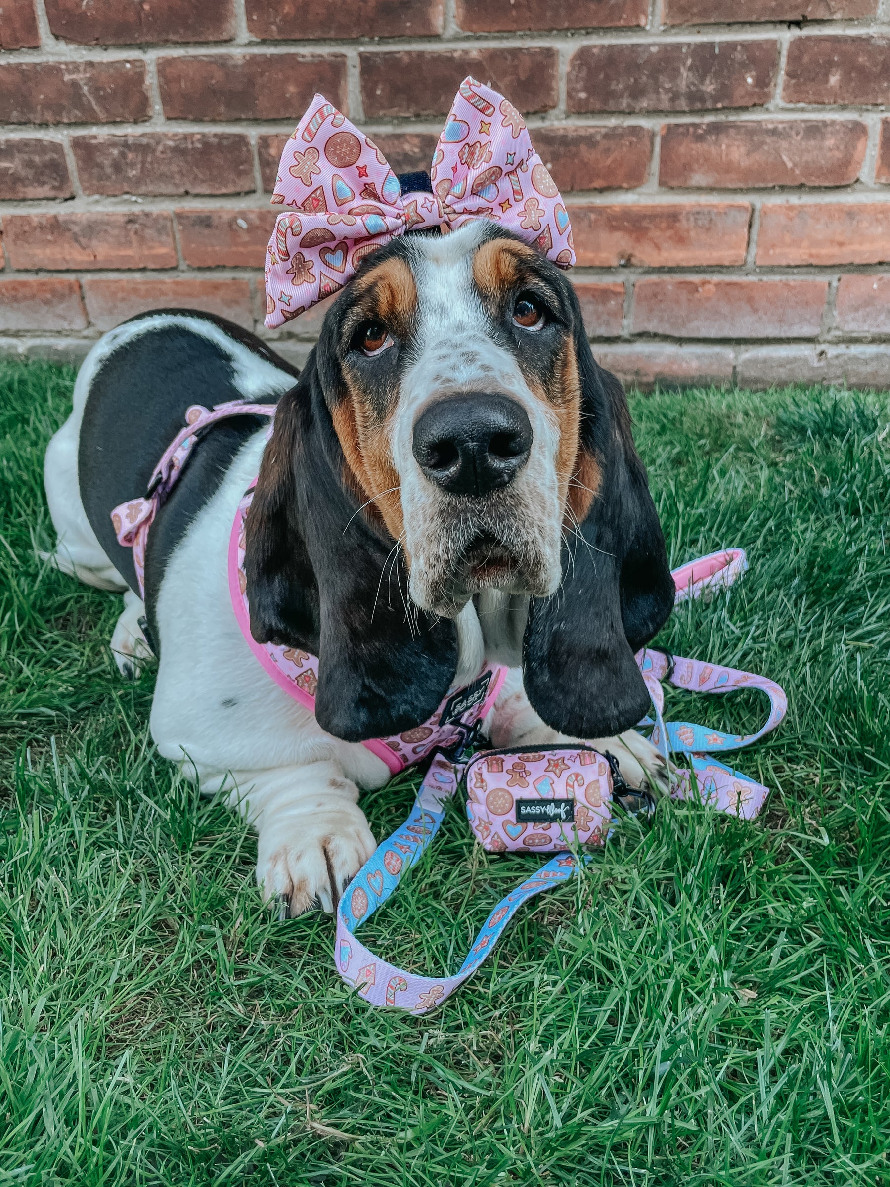 INFLUENCER_CONTENT | @IMCHUCKBASSET