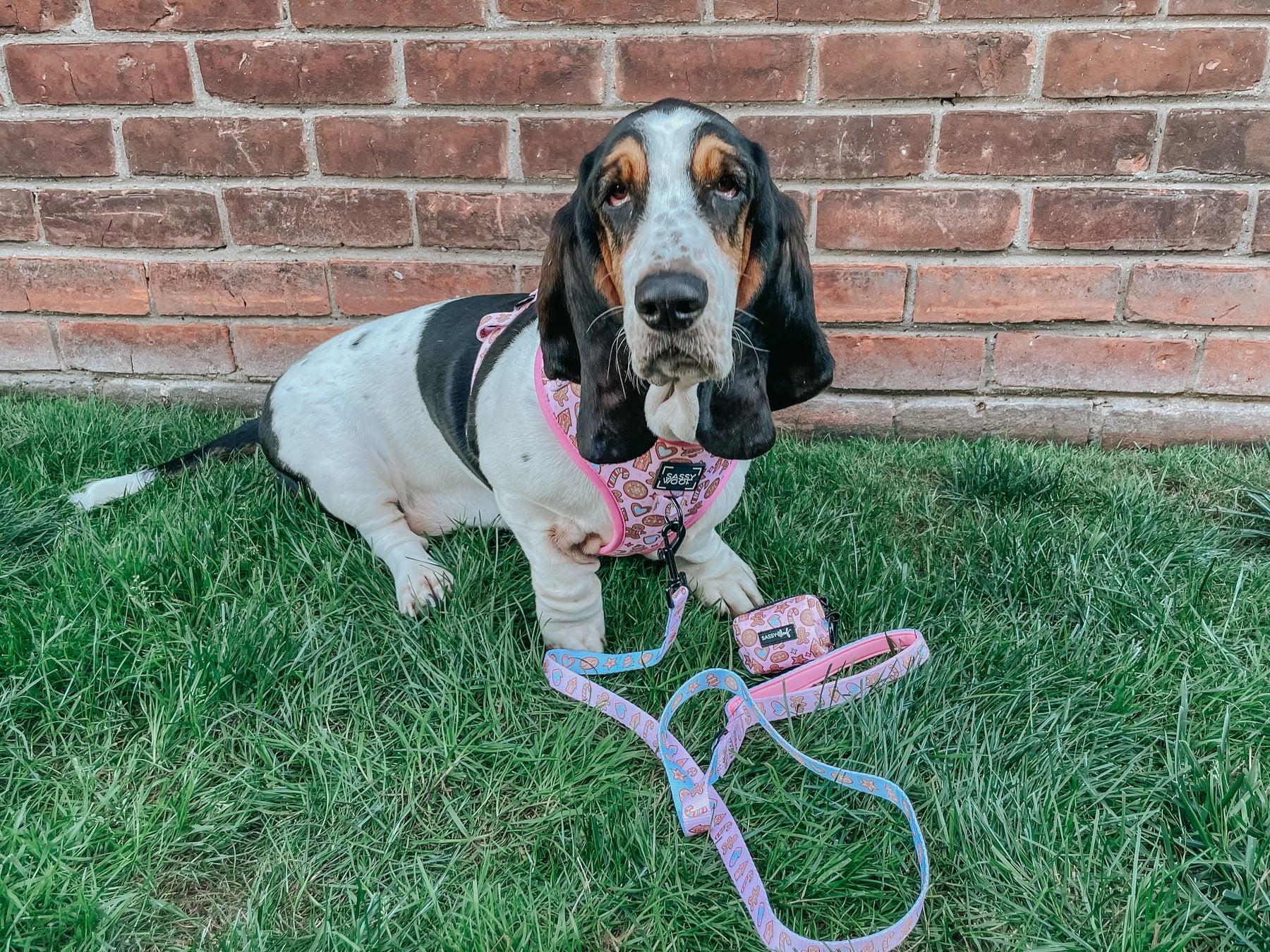 INFLUENCER_CONTENT | @IMCHUCKBASSET