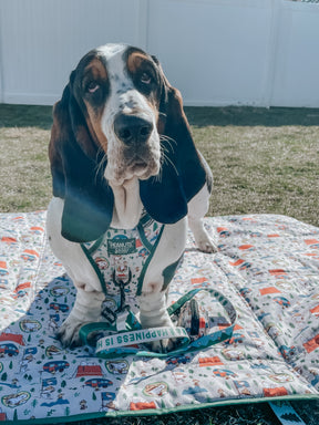 INFLUENCER_CONTENT | @IMCHUCKBASSET