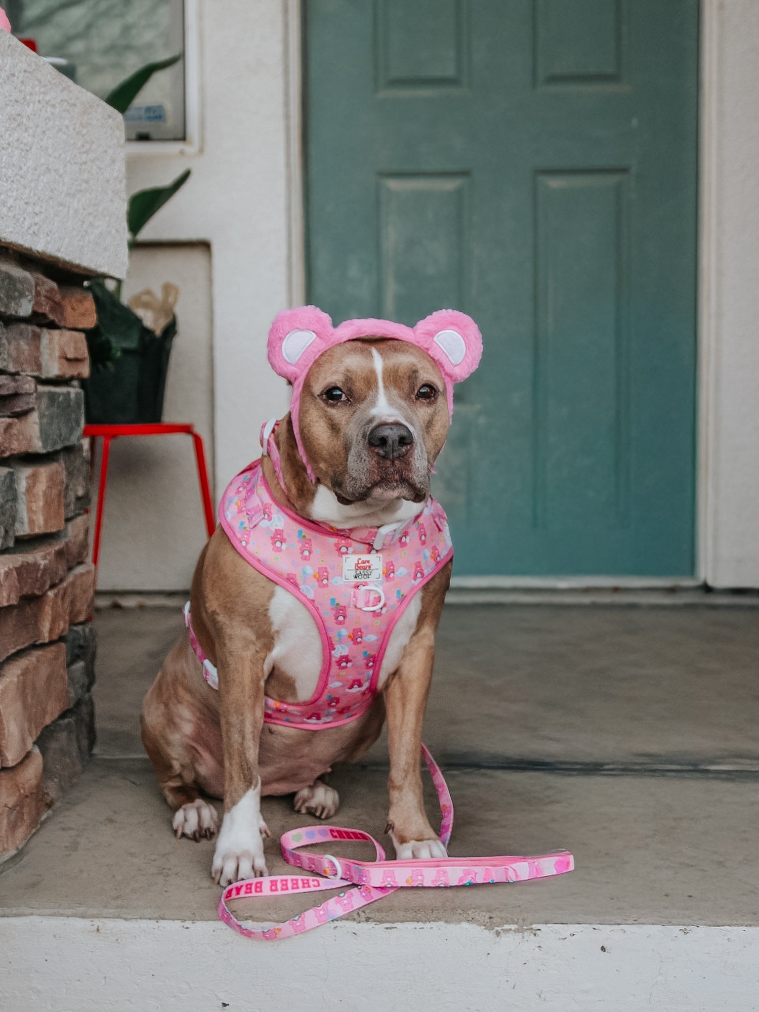 INFLUENCER_CONTENT | @INDIE.PITTIE | SIZE L & XL