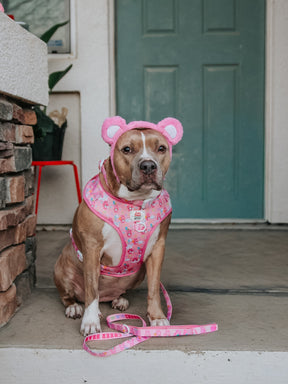 INFLUENCER_CONTENT | @INDIE.PITTIE | SIZE L & XL