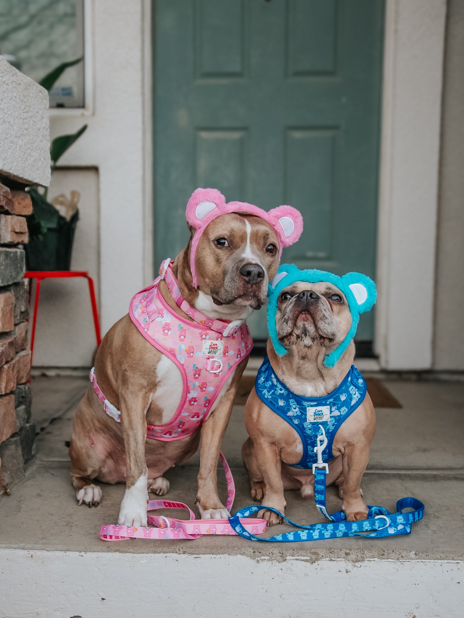 INFLUENCER_CONTENT | @INDIE.PITTIE