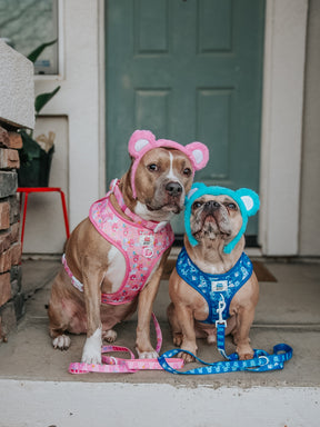 INFLUENCER_CONTENT | @INDIE.PITTIE