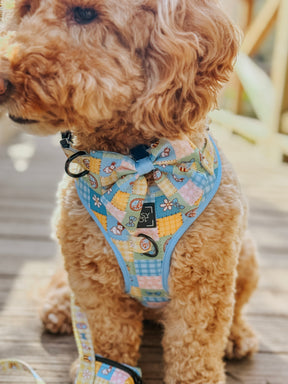 INFLUENCER_CONTENT | @isabellasdoodlediaries| SIZE M & M