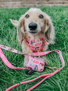 INFLUENCER_CONTENT | @ITSLUCYTHEDOXIE