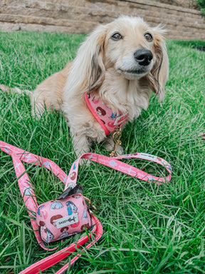 INFLUENCER_CONTENT | @ITSLUCYTHEDOXIE