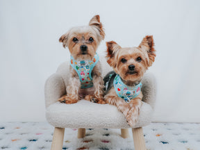 INFLUENCER_CONTENT | @JAKEANDTUCK | SIZE XS