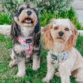 INFLUENCER_CONTENT | @LADYBIRDTHECAVAPOO | @SIZE XS