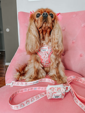 A small brown dog with long ears sits on a pink chair in a pink harness, sporting cute pink bows. In front are matching Sassy Woof pet accessories: the Dog Leash - My Melody™ and a coordinating pouch featuring charming designs.