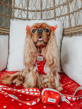 INFLUENCER_CONTENT | @LADYEMMAOFASHBURN