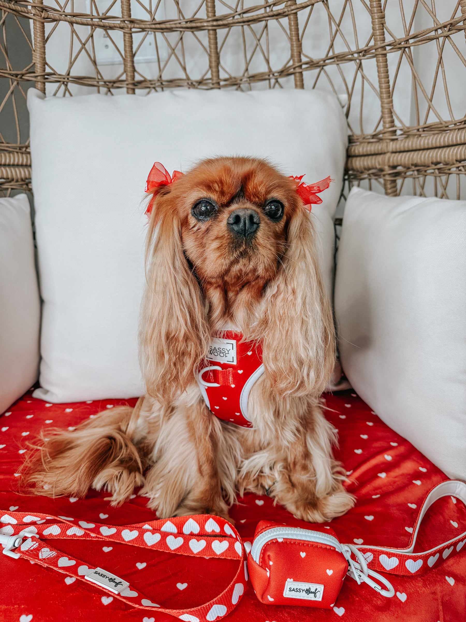 INFLUENCER_CONTENT | @LADYEMMAOFASHBURN | SIZE S