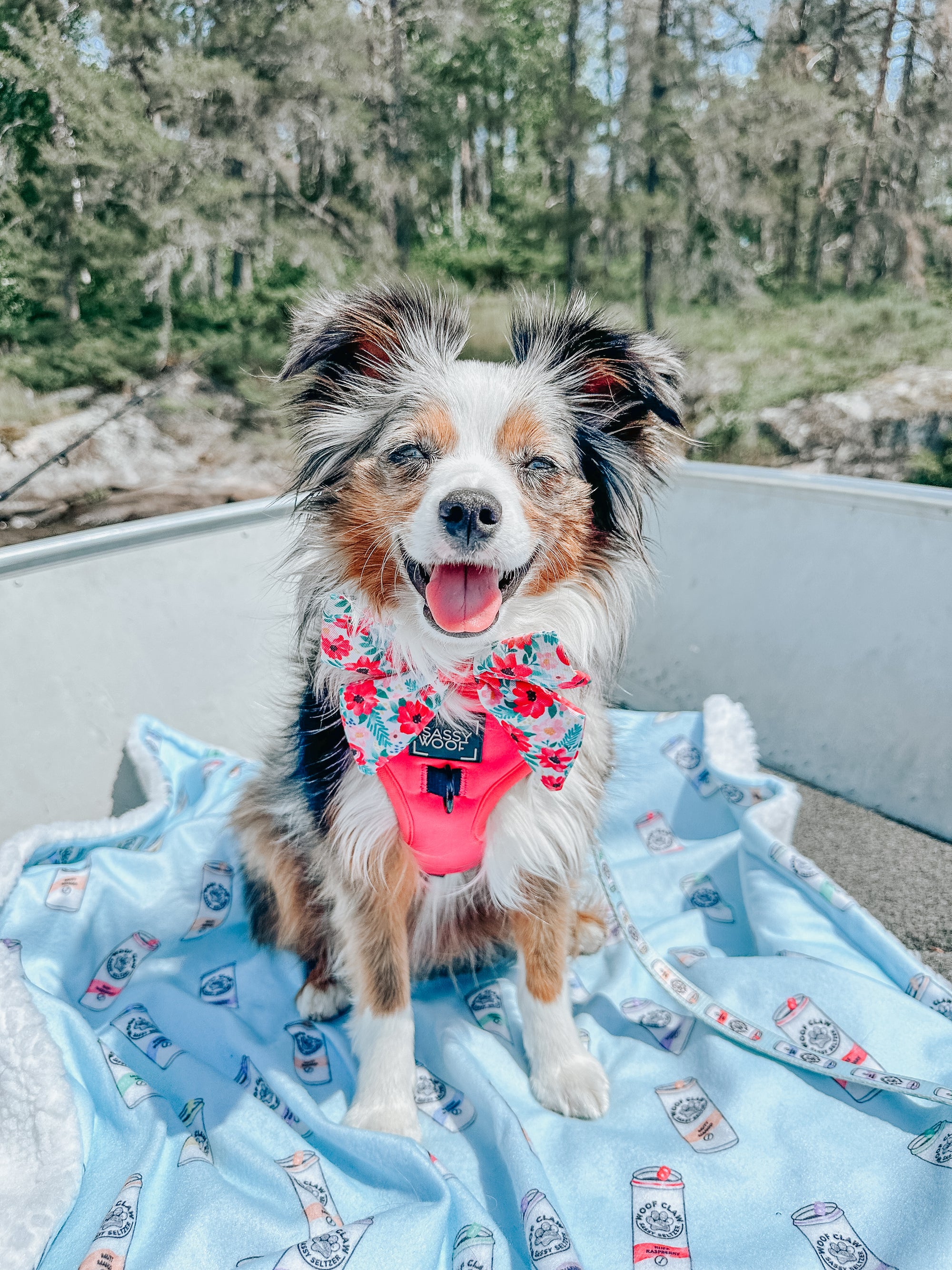 INFLUENCER_CONTENT | @LEXI_THE_TOY_AUSSIE