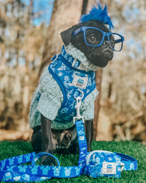 A small black dog with blue glasses, a light blue sweater, and a blue mohawk sits on grass in front of trees, wearing a Sassy Woof Care Bears™ Grumpy Bear Dog Waste Bag Holder while looking off to the side.