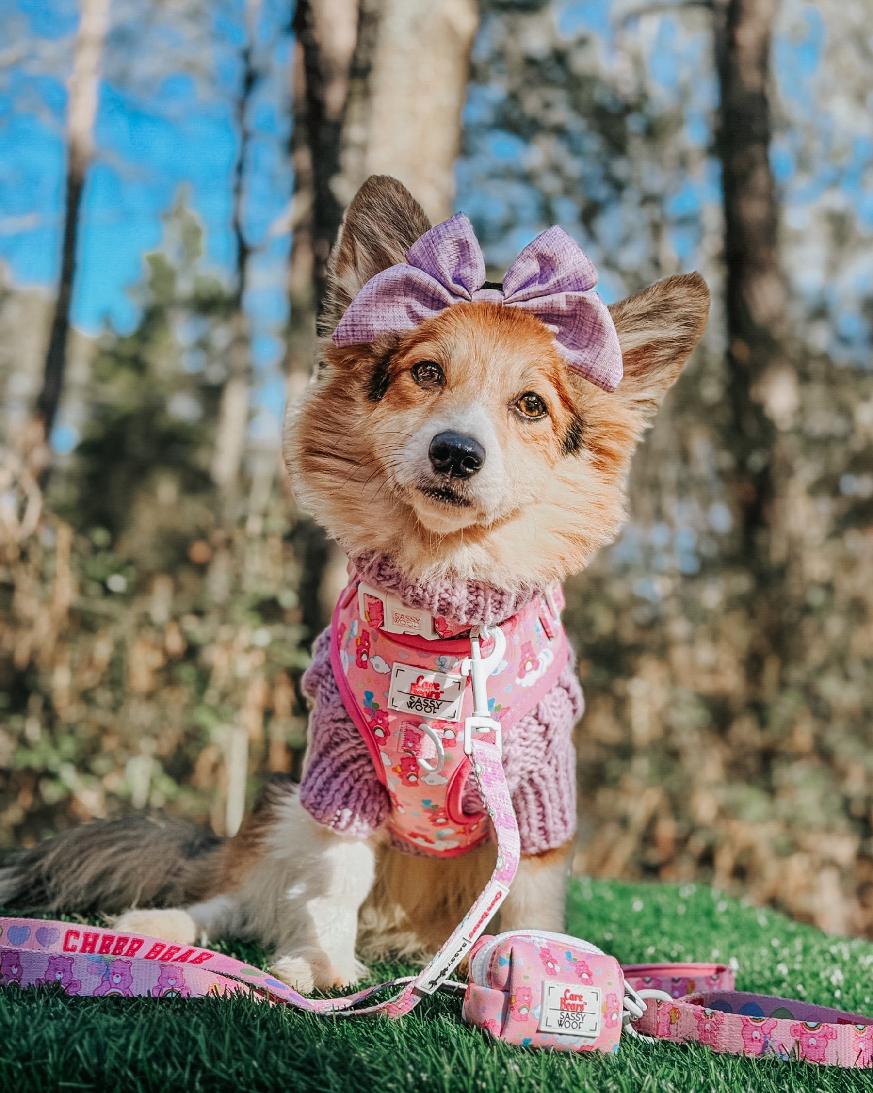 INFLUENCER_CONTENT | @LIBERACE_MINIPIG_DIVADUDE