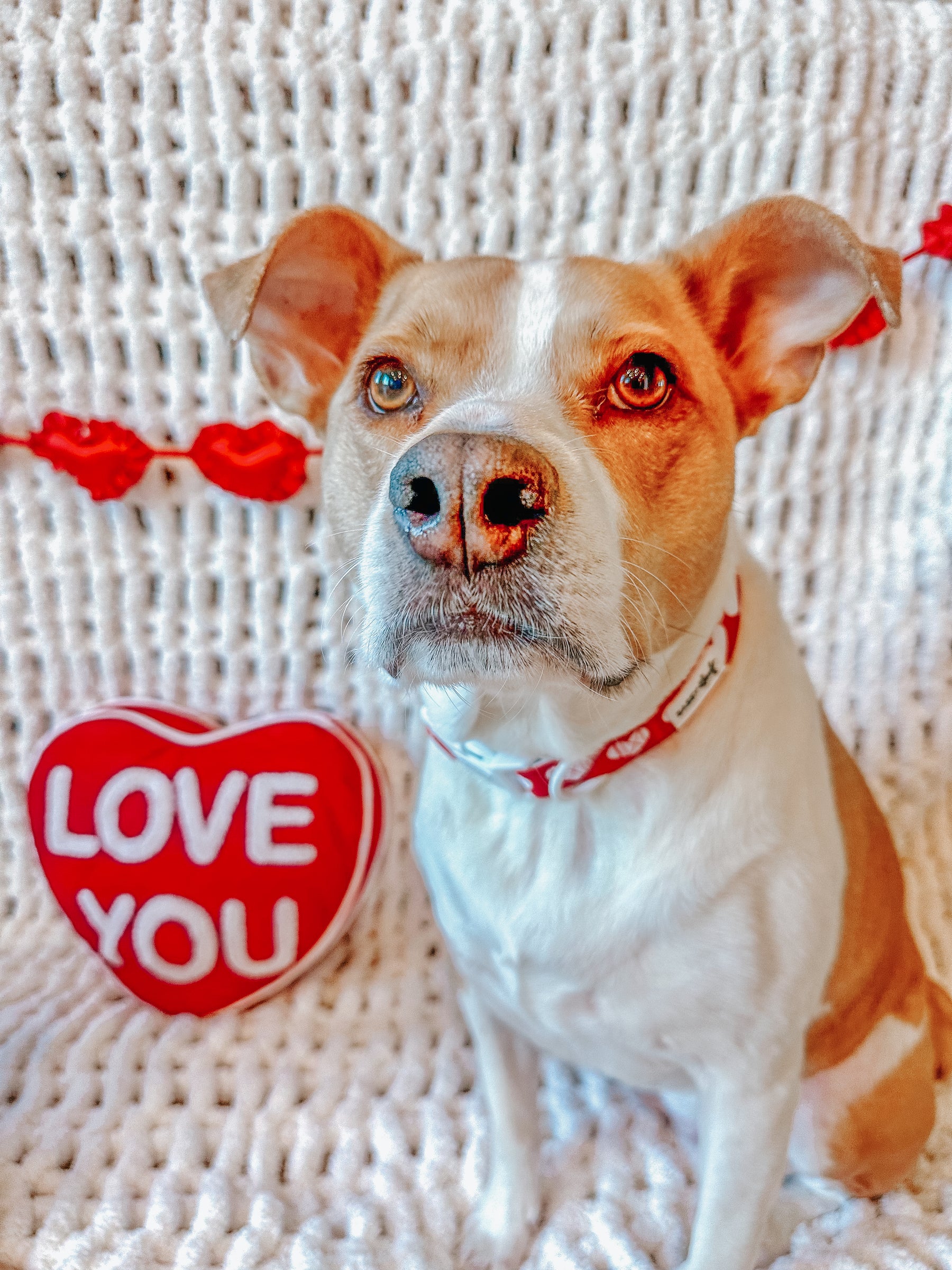 INFLUENCER_CONTENT | @LIFE.AS.CHANEL | SIZE L