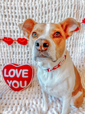 INFLUENCER_CONTENT | @LIFE.AS.CHANEL | SIZE L