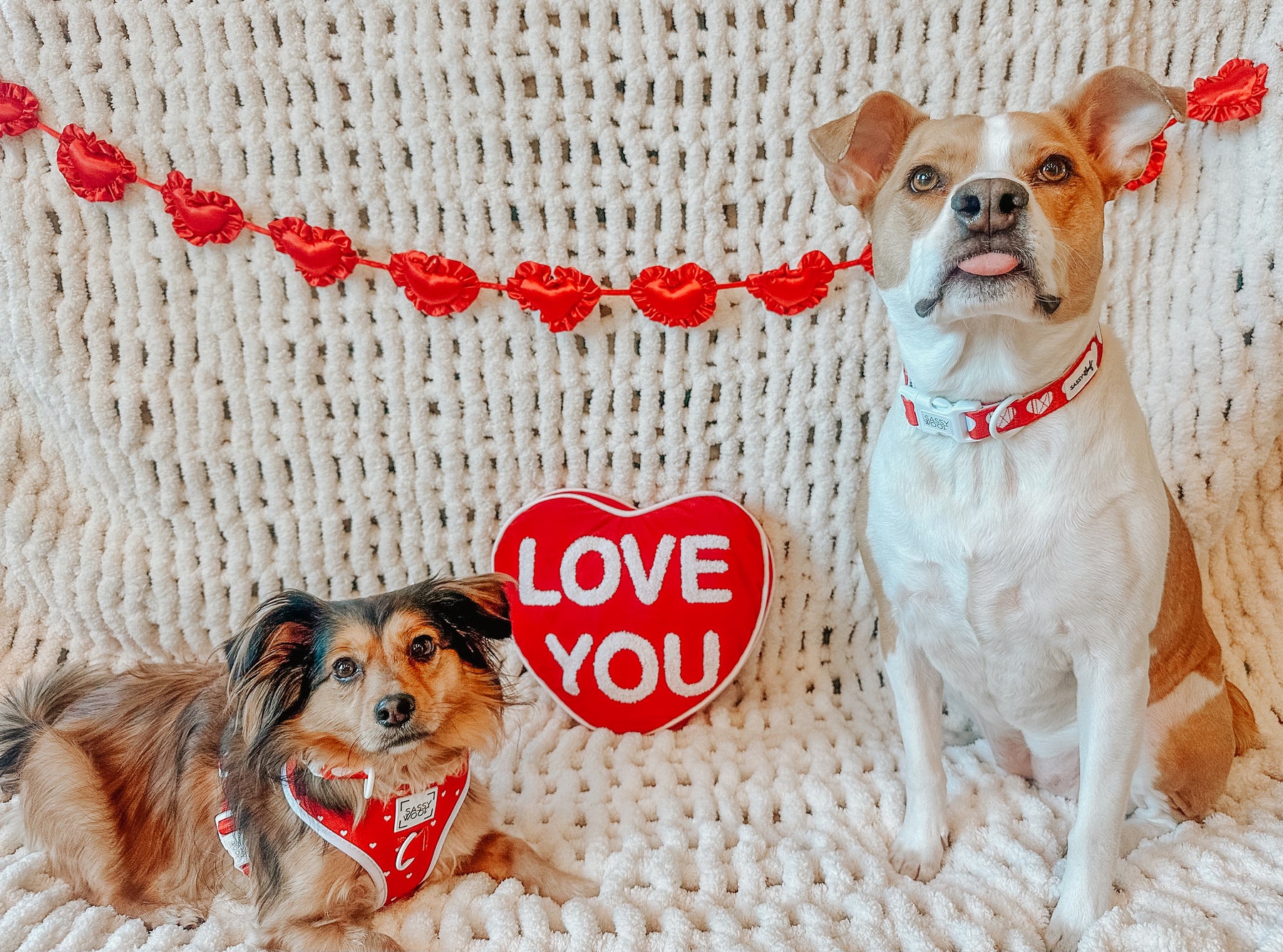 INFLUENCER_CONTENT | @LIFE.AS.CHANEL | SIZE L & M