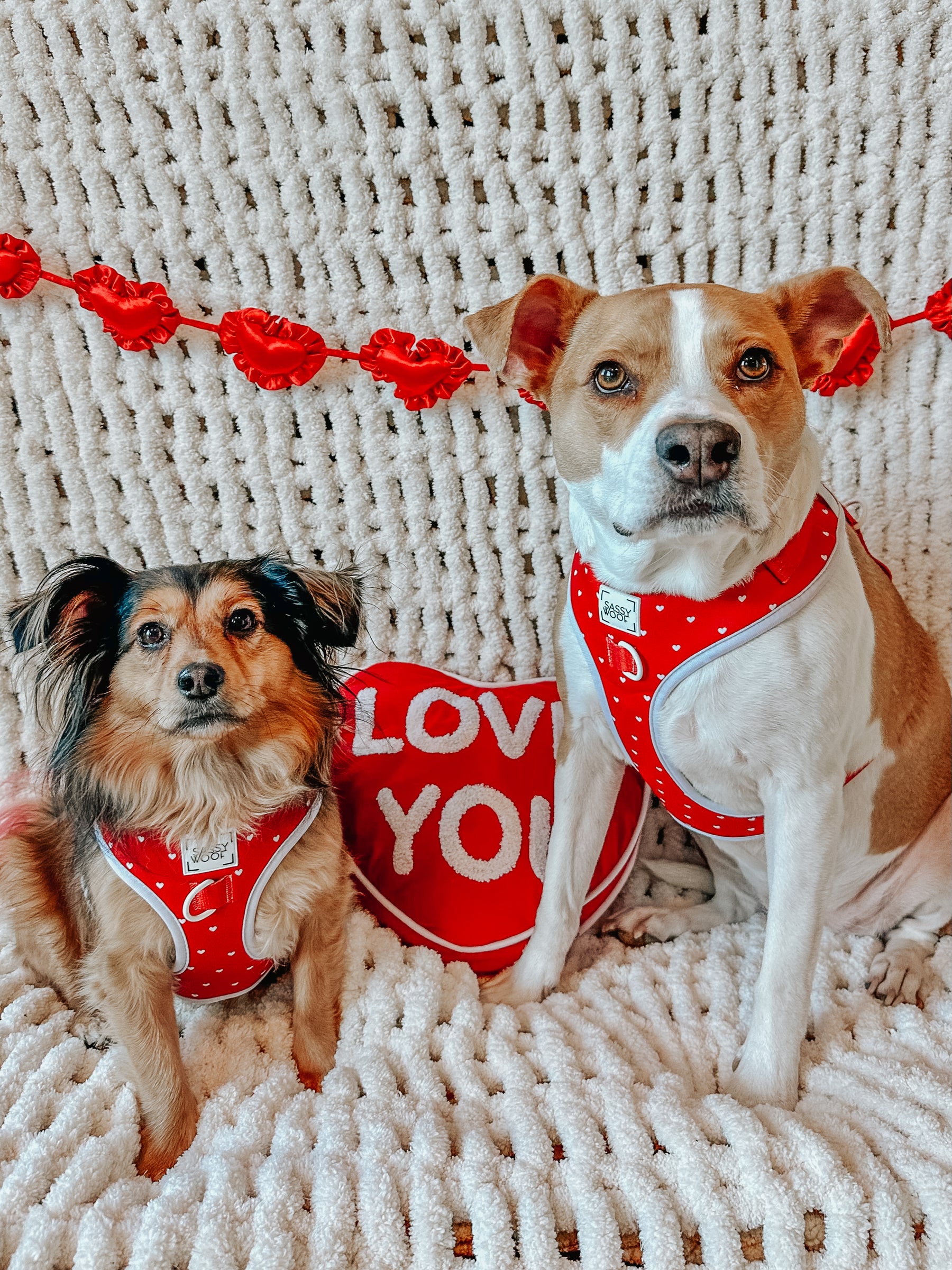 INFLUENCER_CONTENT | @LIFE.AS.CHANEL | SIZE M,L