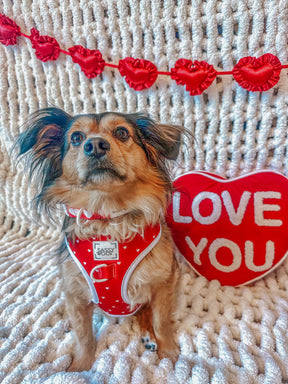 INFLUENCER_CONTENT | @LIFE.AS.CHANEL | SIZE M