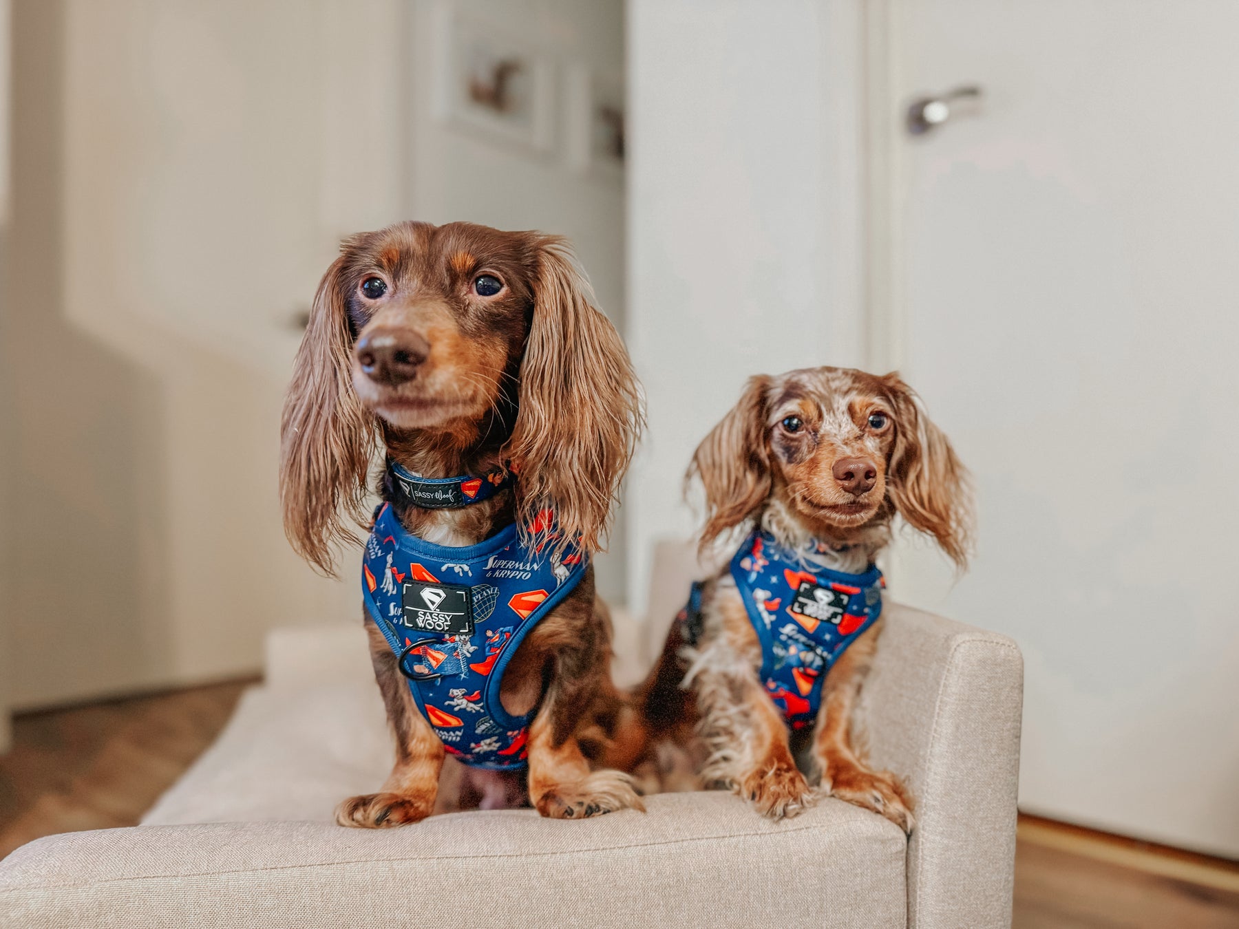 INFLUENCER_CONTENT | @LILDOXIEBLESSINGS | SIZE XS, S