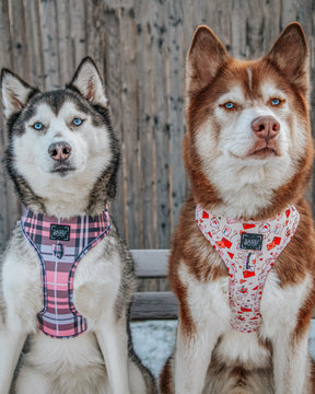 INFLUENCER_CONTENT | @LILLY_CLOVER_HUSKY | SIZE XL