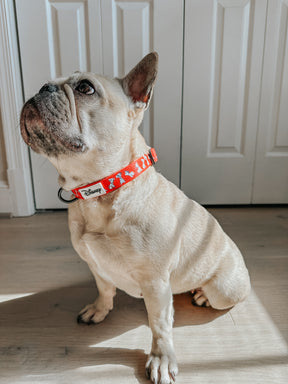 INFLUENCER_CONTENT | @LILLYMOONFRENCHIE | SIZE M
