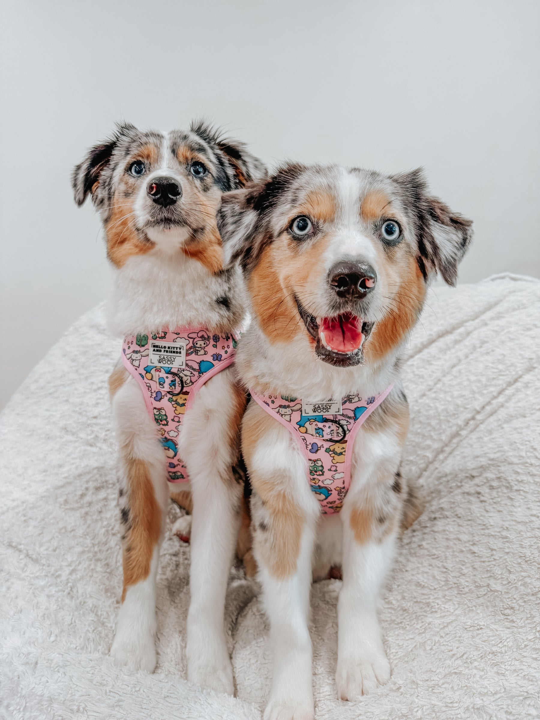 INFLUENCER_CONTENT | @LILYTHEMINIAUSSIE | SIZE M & M