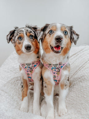 INFLUENCER_CONTENT | @LILYTHEMINIAUSSIE | SIZE M 