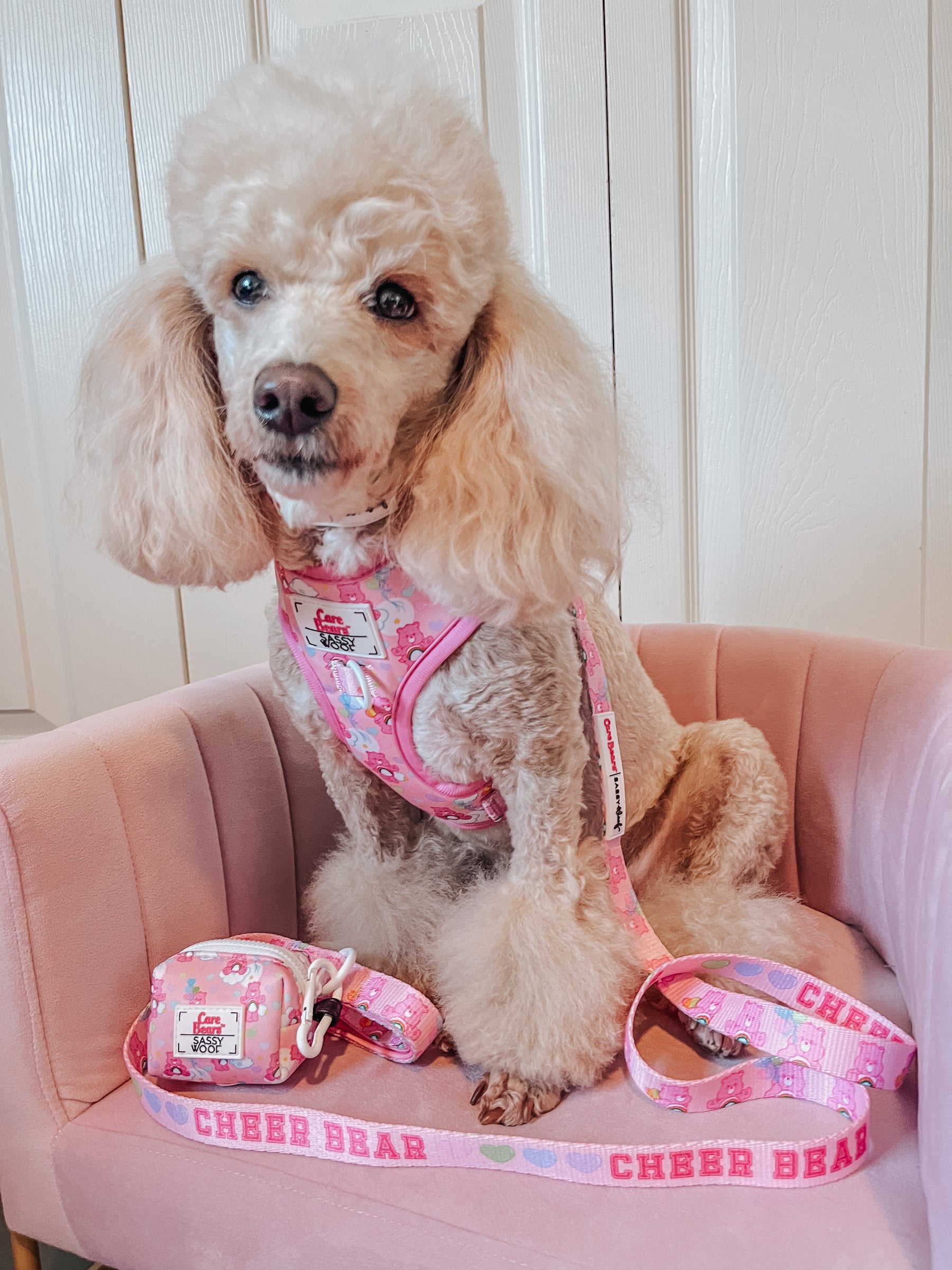 INFLUENCER_CONTENT | @LIZZIELIKEMCGUIRE | SIZE XS