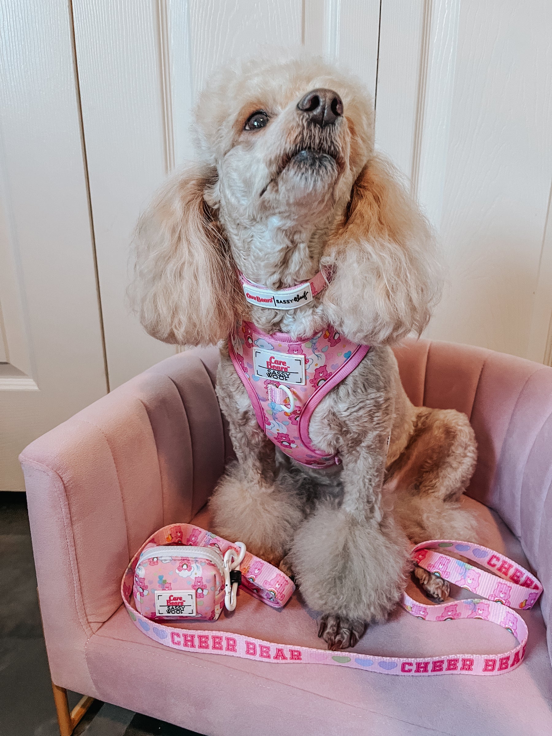 INFLUENCER_CONTENT | @LIZZIELIKEMCGUIRE | SIZE S & XS