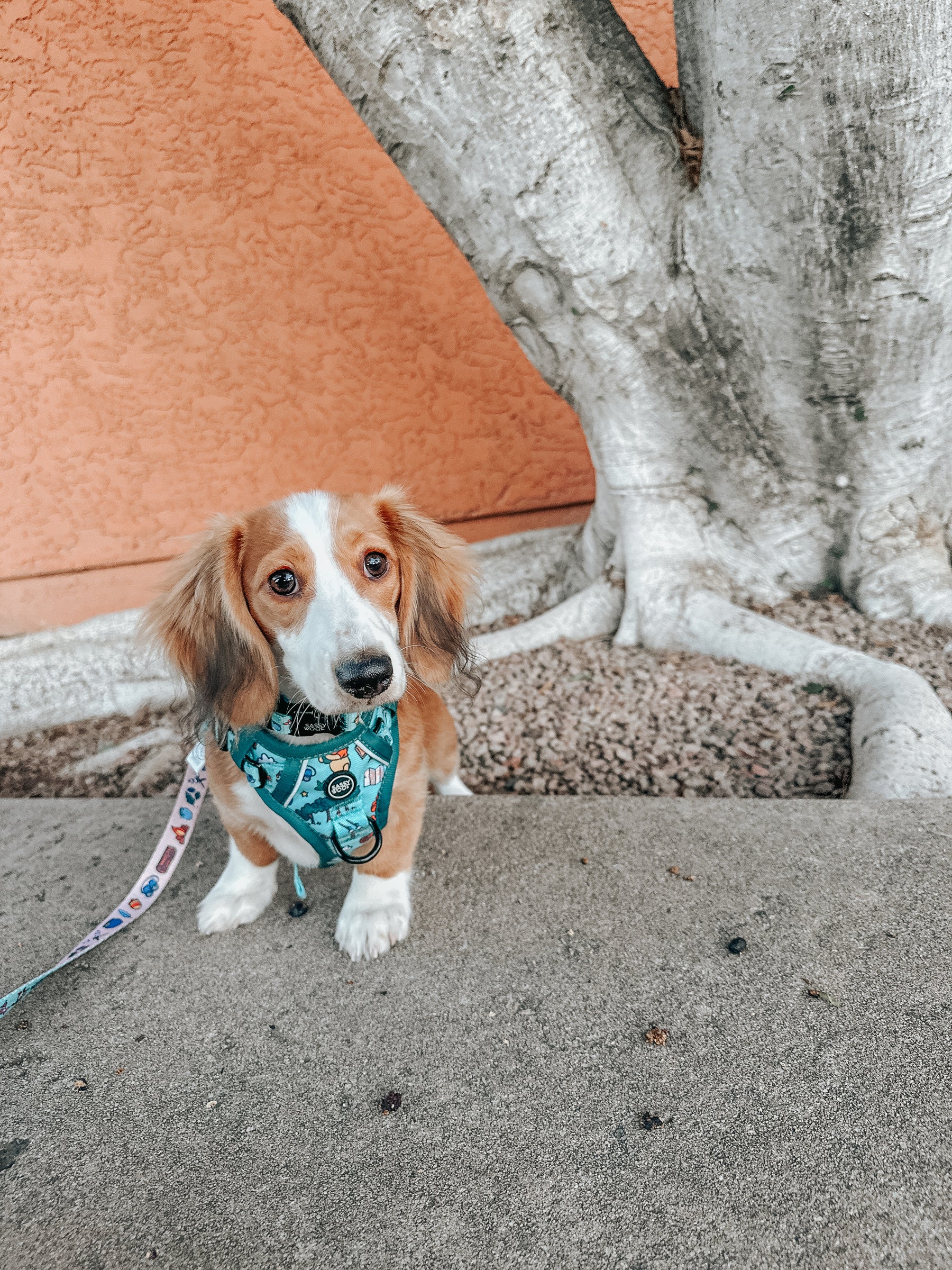 INFLUENCER_CONTENT | @LOVELYLITTLEFERN | SIZE XS