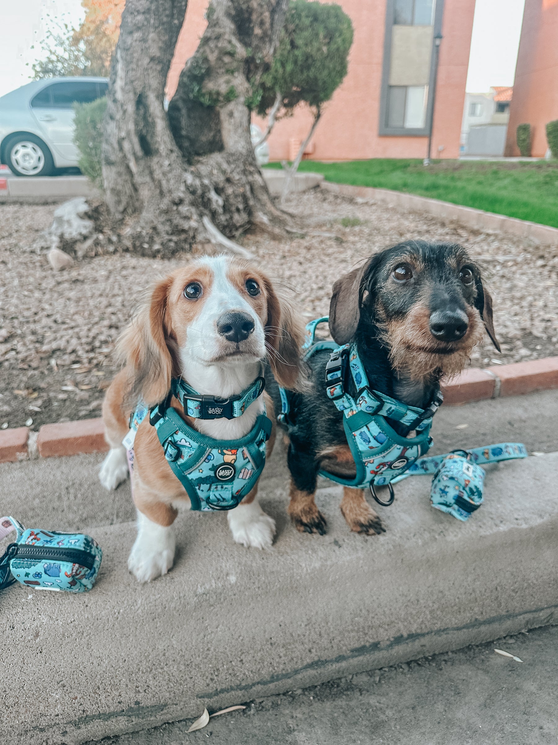 INFLUENCER_CONTENT | @LOVELYLITTLEFERN | SIZE S