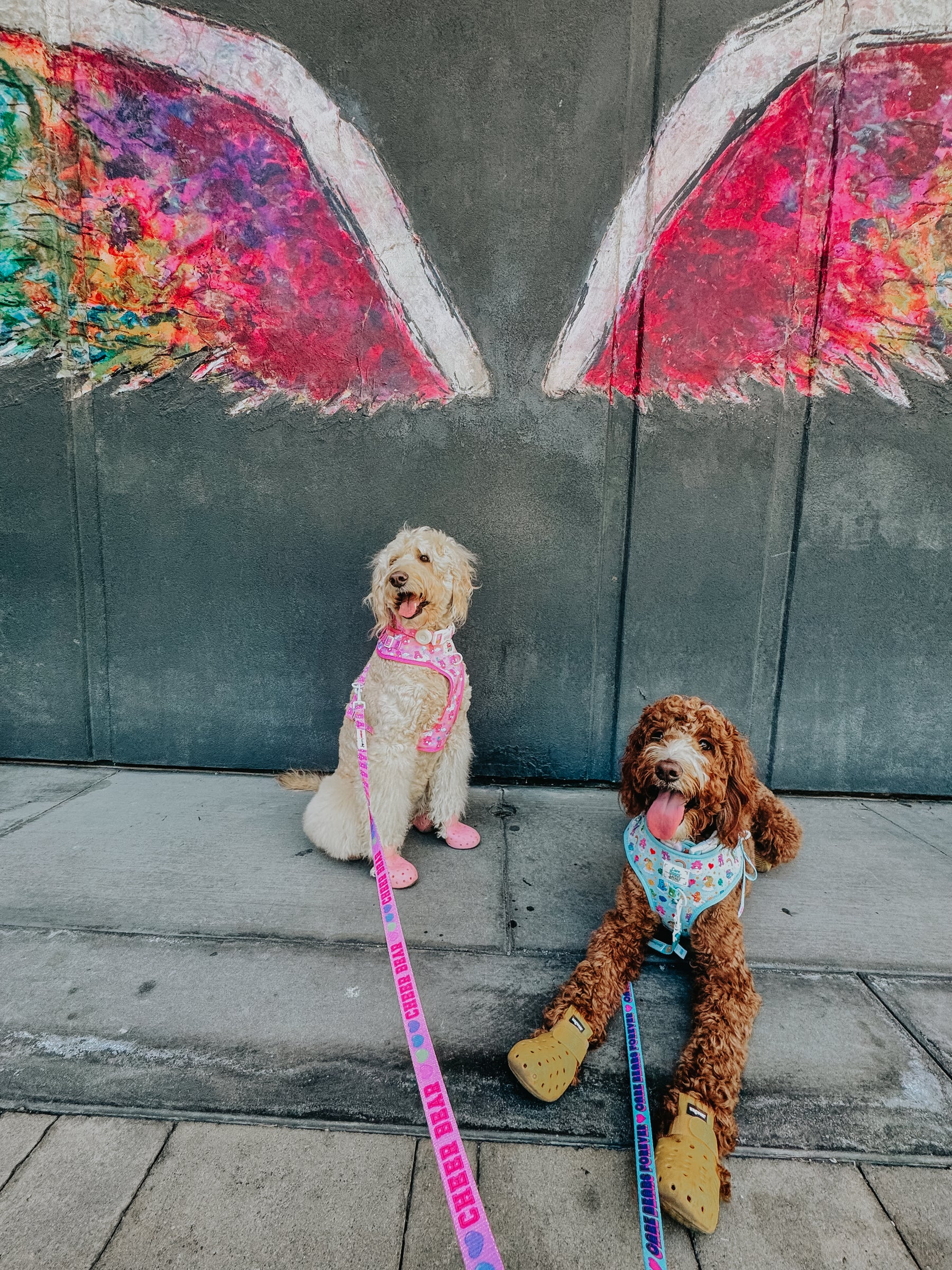 INFLUENCER_CONTENT | @LUCYLU_PAWSITIVEPUP | SIZE L & XL