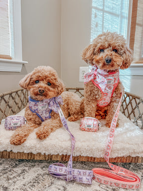 Two small brown dogs sit on a cushioned wicker bed by a sunlit window, wearing colorful pet accessories. One sports the Sassy Woof Dog Leash - My Melody™ with a matching pouch as sunlight streams through the blinds.