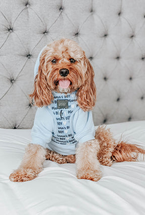 INFLUENCER_CONTENT | @SIT_OLLIE_SIT | SIZE S